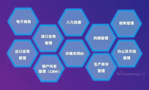 匯信軟件榮獲殊榮 入選山東省優(yōu)秀軟件企業(yè)，標志性產(chǎn)品與服務(wù)雙豐收