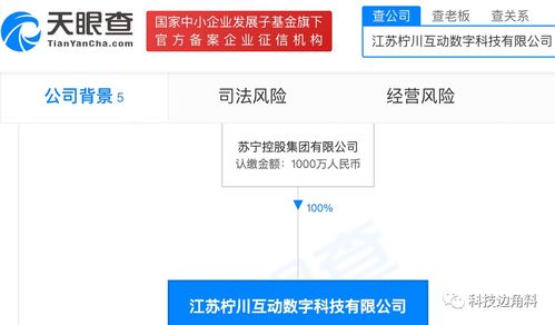 蘇寧控股布局數字文化新領域 檸川互動數字公司成立，拓展健身休閑與數字文創